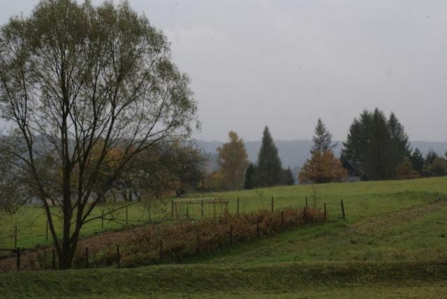 Agroturystyka U Maciejowej Villa Lanckorona Eksteriør billede
