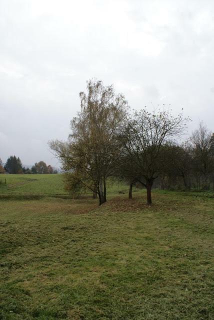 Agroturystyka U Maciejowej Villa Lanckorona Eksteriør billede